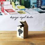 Araç Kiti Karton Kutusu