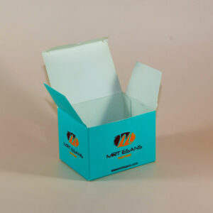 esans amerikan bristol kutu